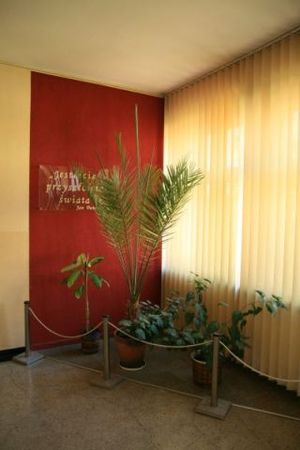 10.jpg [300x450]