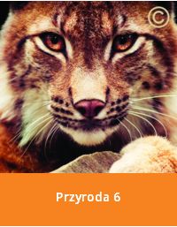 Przyroda - klasa 6