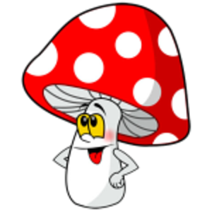 muchomorkid.png [300x300]