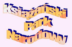 kpn.jpg [300x199]