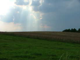 landscape35.jpg [275x206]