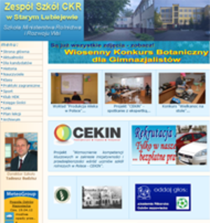 stara_strona.png [300x319]