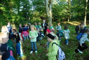 dbg_0064.jpg [300x201]