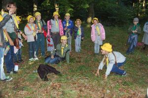 dsc_0519.jpg [300x200]