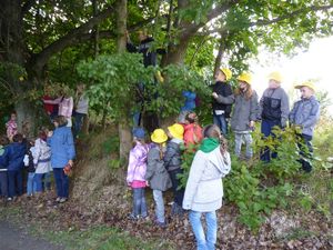 p1070234.jpg [300x225]