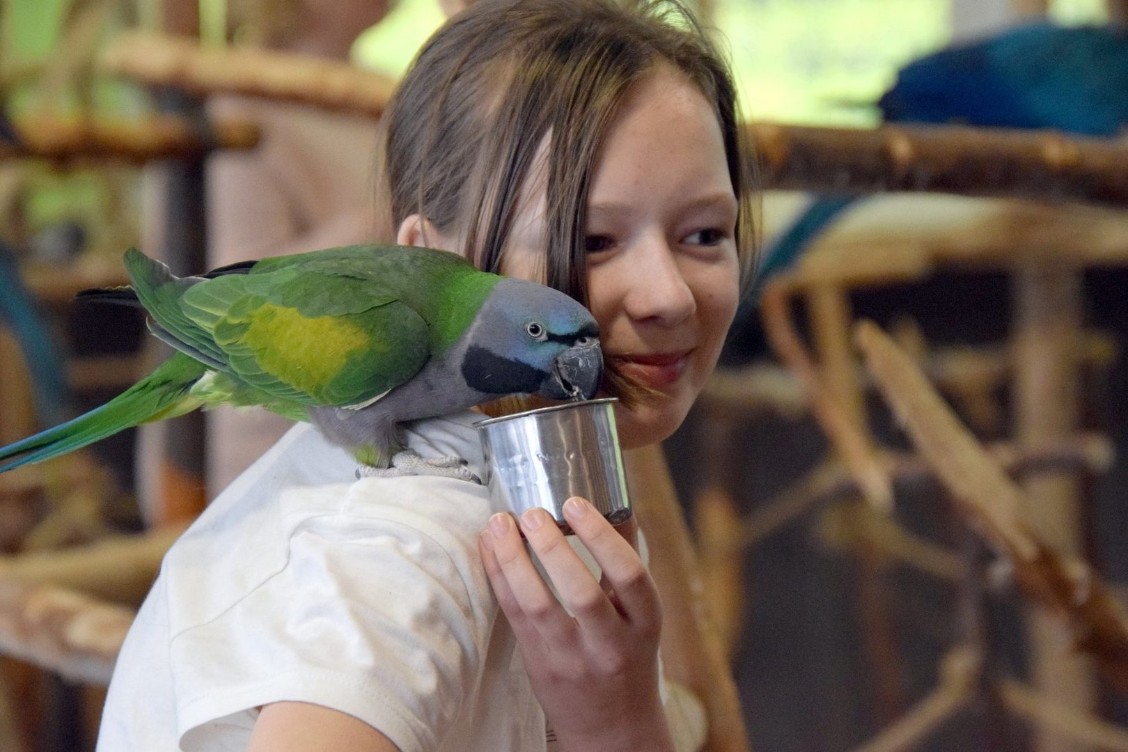 Tutaj powinien być opis