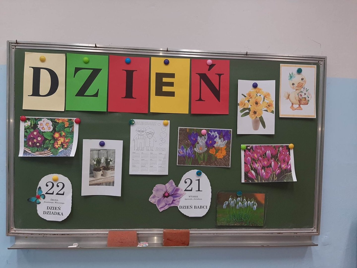Tutaj powinien być opis