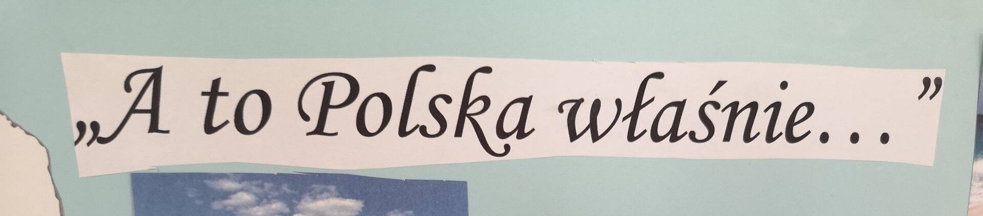 Tutaj powinien być opis