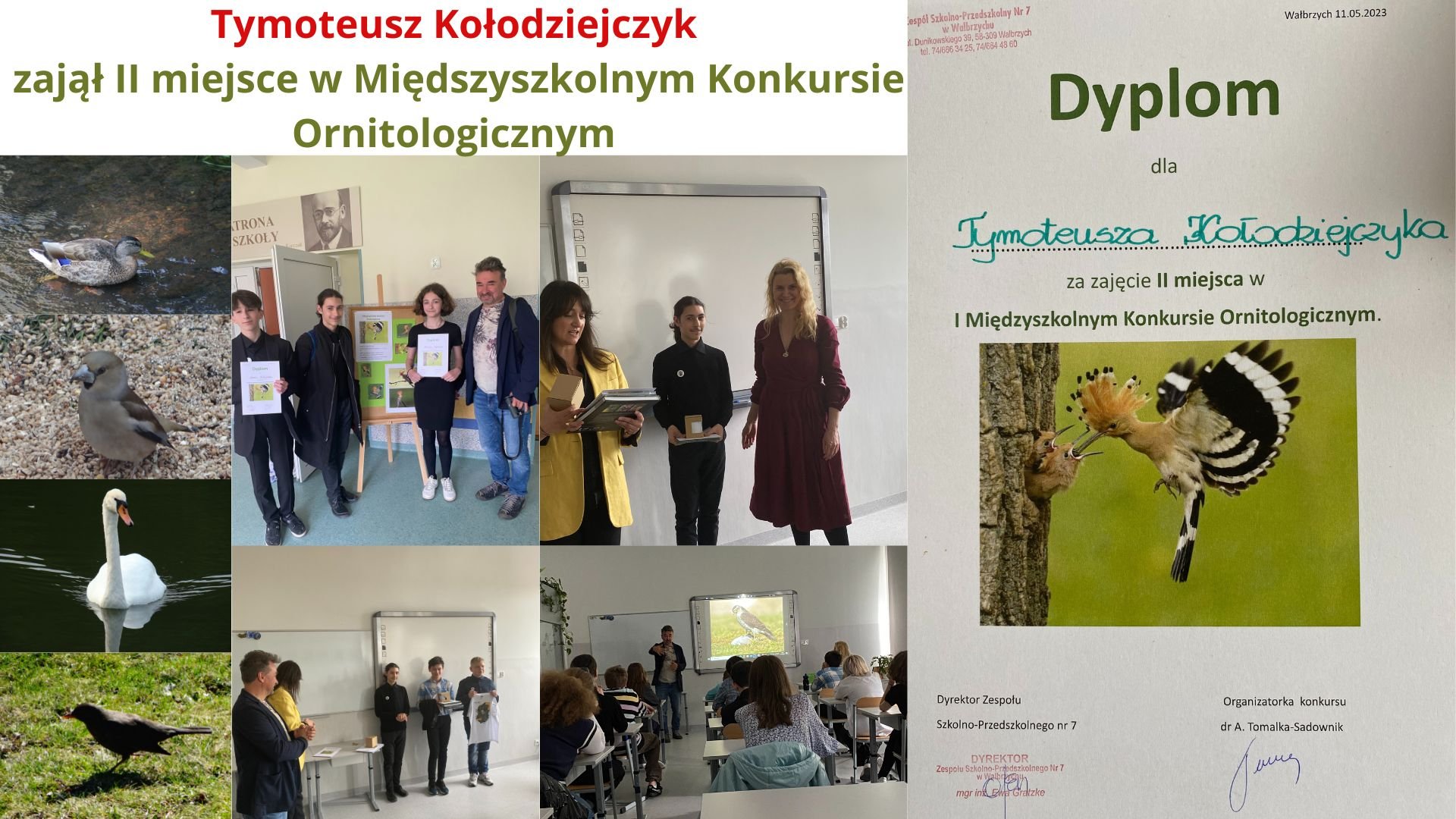 Tutaj powinien być opis