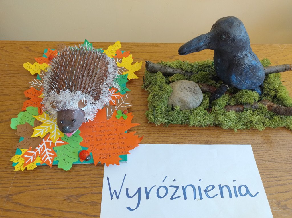 Tutaj powinien być opis