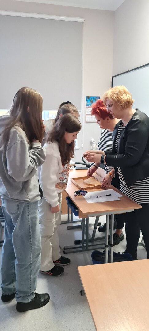Tutaj powinien być opis