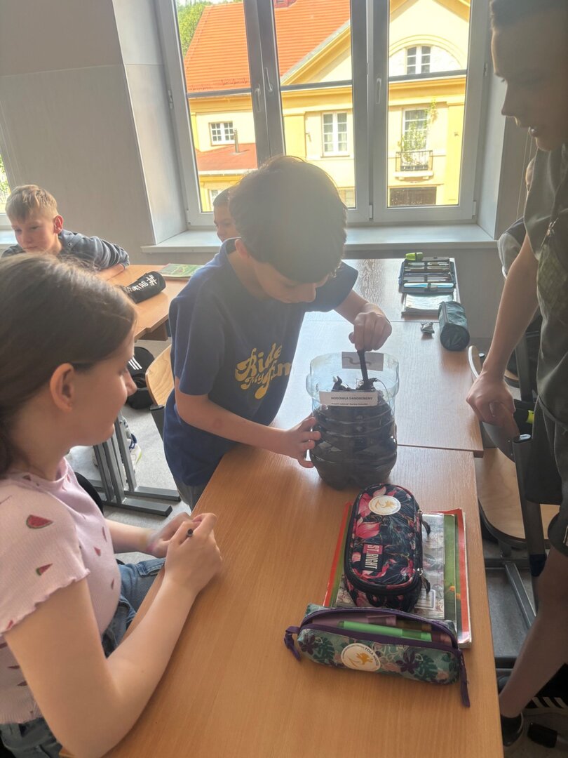 Tutaj powinien być opis