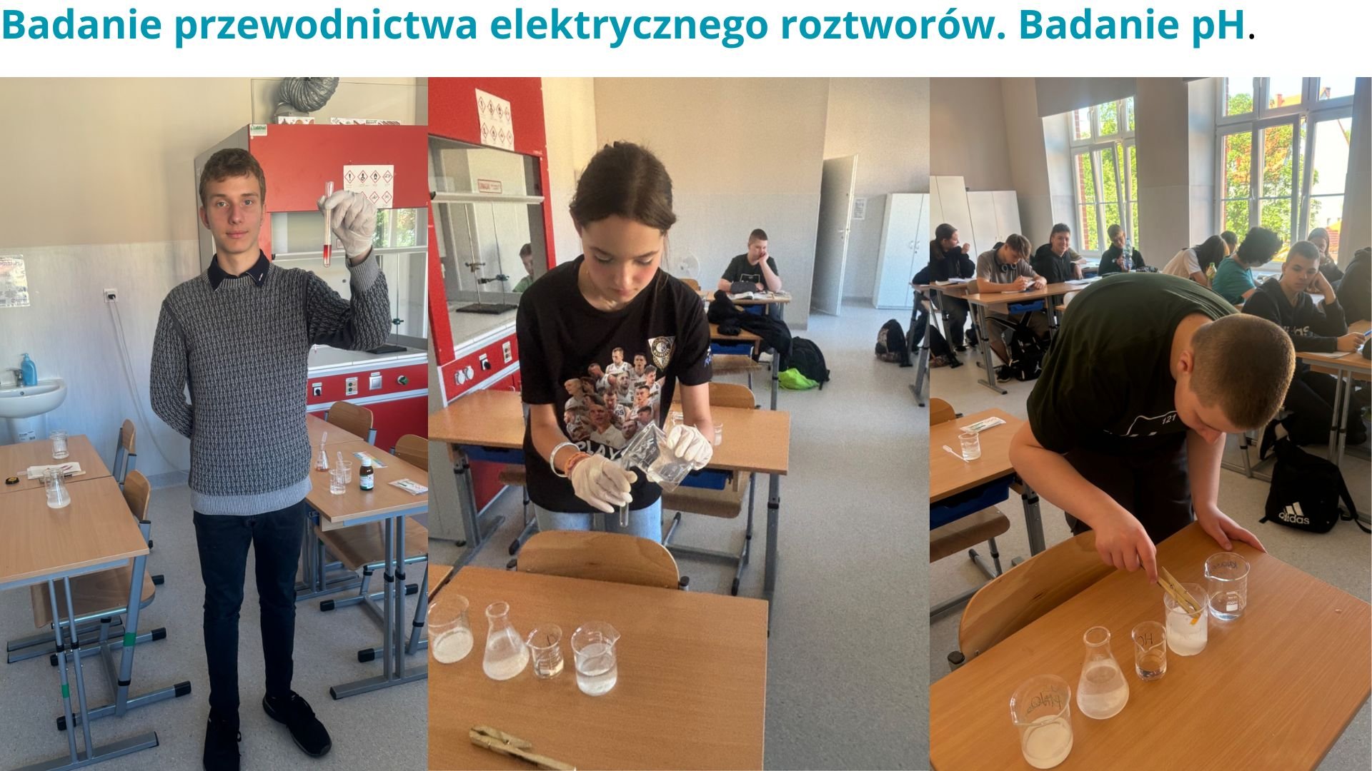 Tutaj powinien by膰 opis