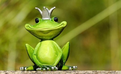 frog [400x244]