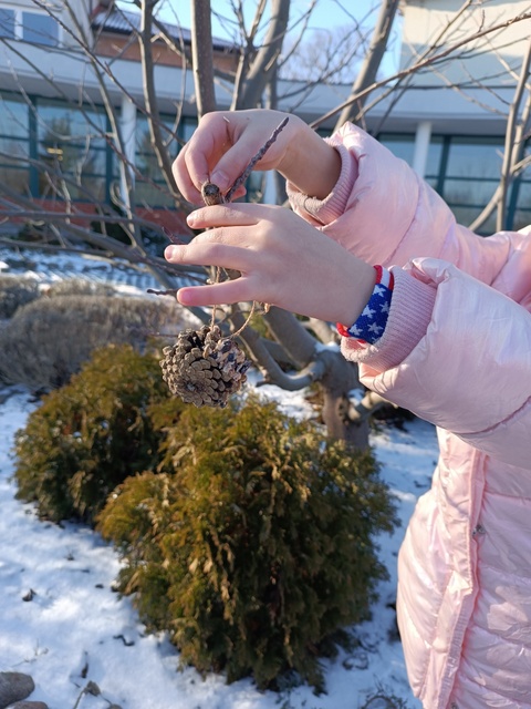 img_20240109_121822001.jpg [480x640]