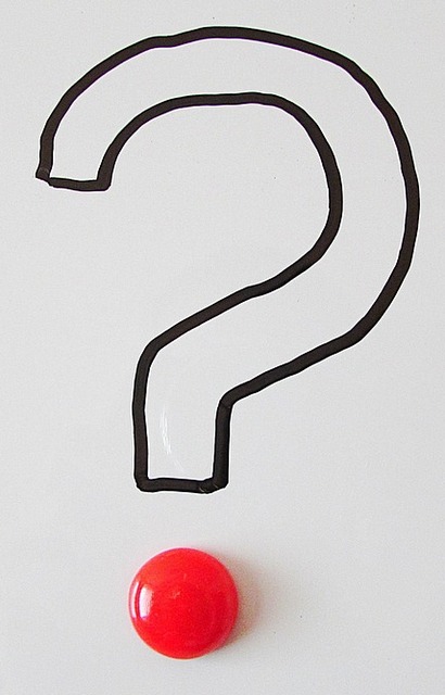 question-mark-463497_1280.jpg [410x640]