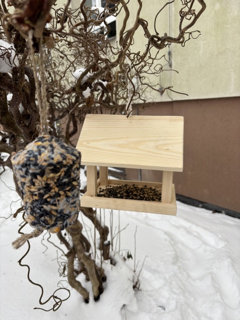 img_3001.jpg [480x640]