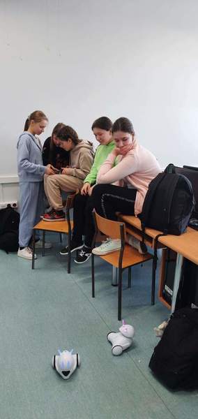Zdjęcie