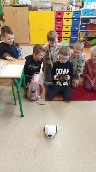 Zdjęcie
