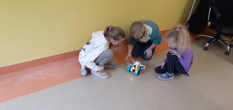 Zdjęcie