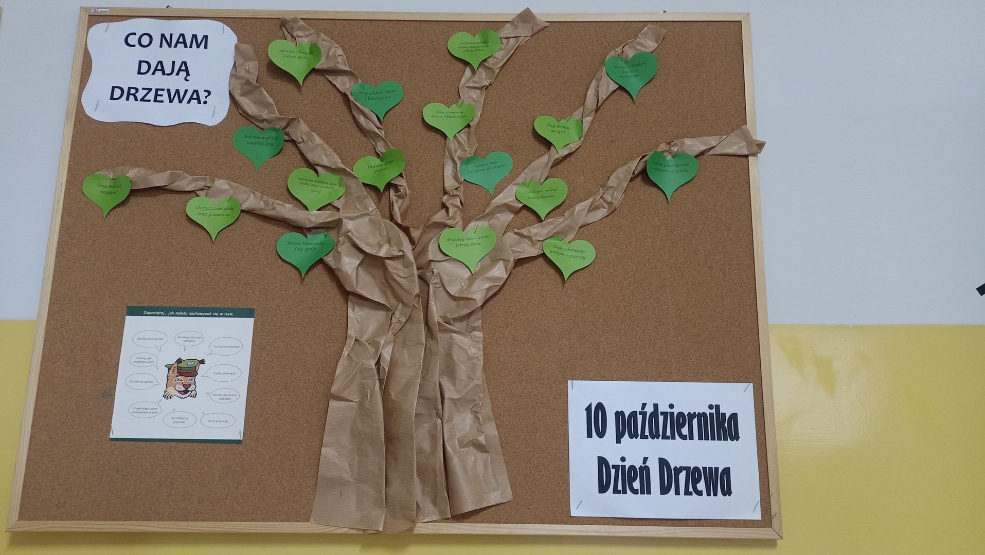 Tutaj powinien być opis