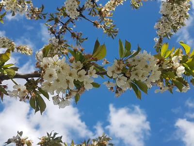 Bartosz Kędzierski 2 c