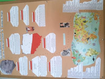 Antek Baraniecki 7 b