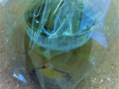 Praca  Natalii Żygadło