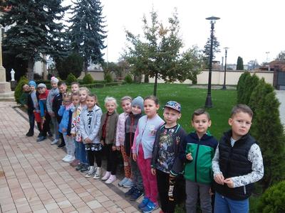 I d i w tle Dąb papieski