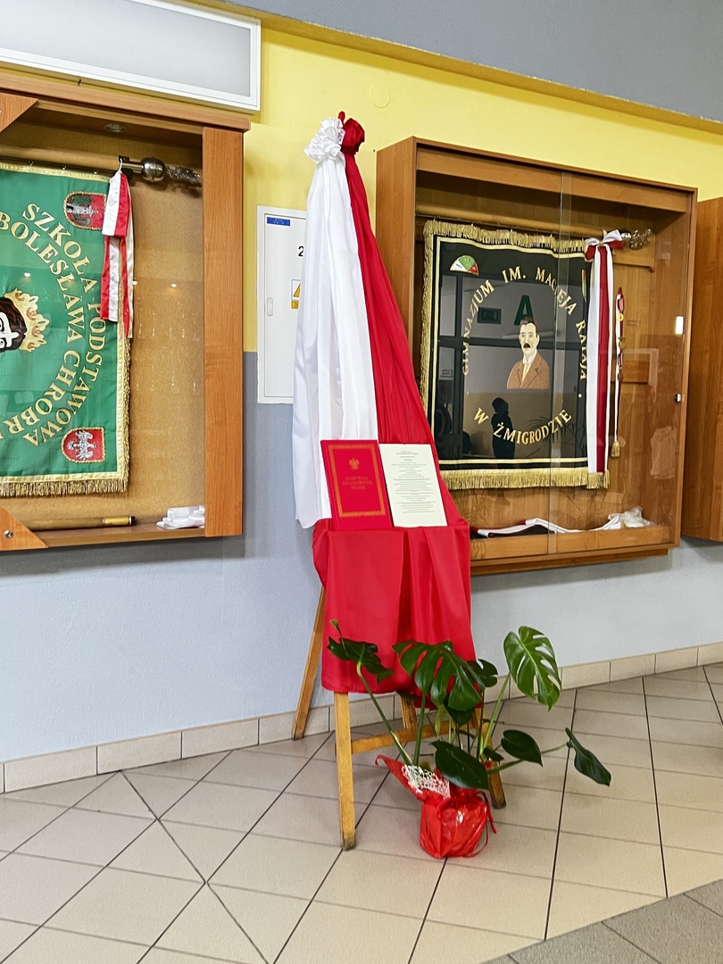 Tutaj powinien być opis