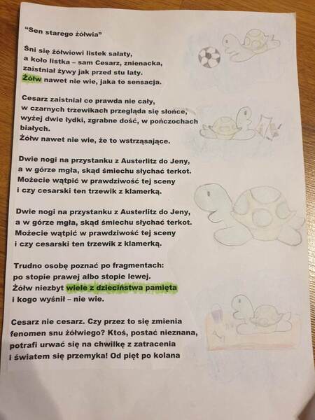 Zdjęcie