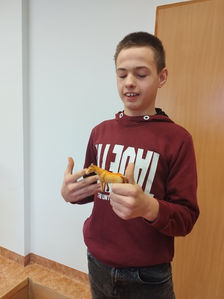 Zdjęcie