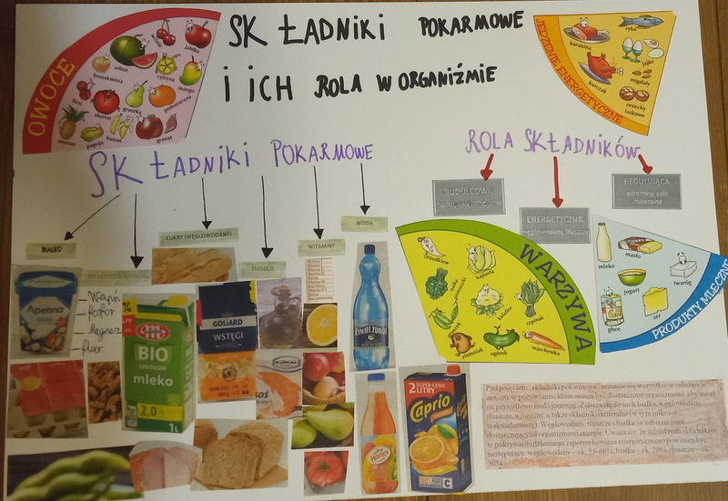 Zdjęcie