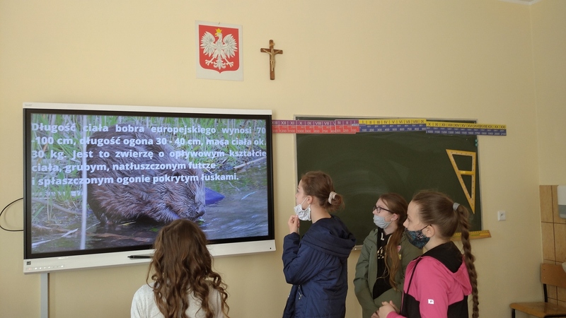 Zdjęcie