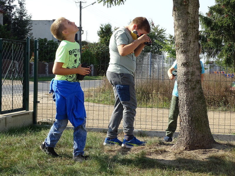 Zdjęcie