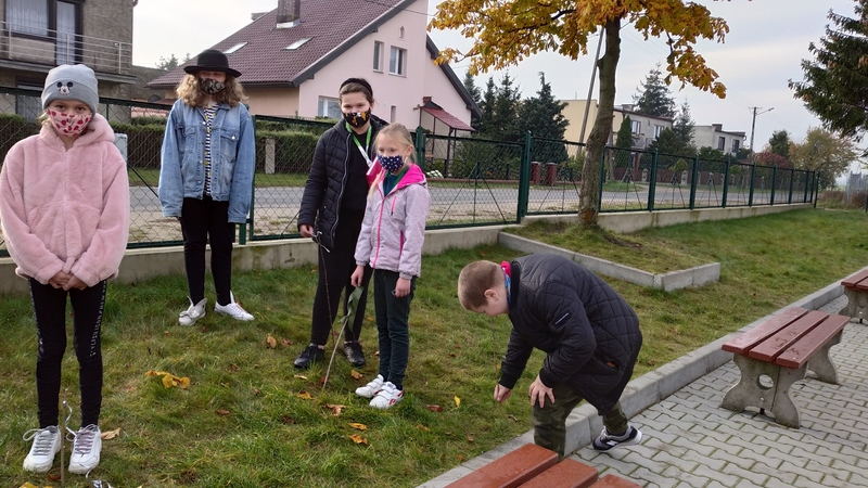Zdjęcie