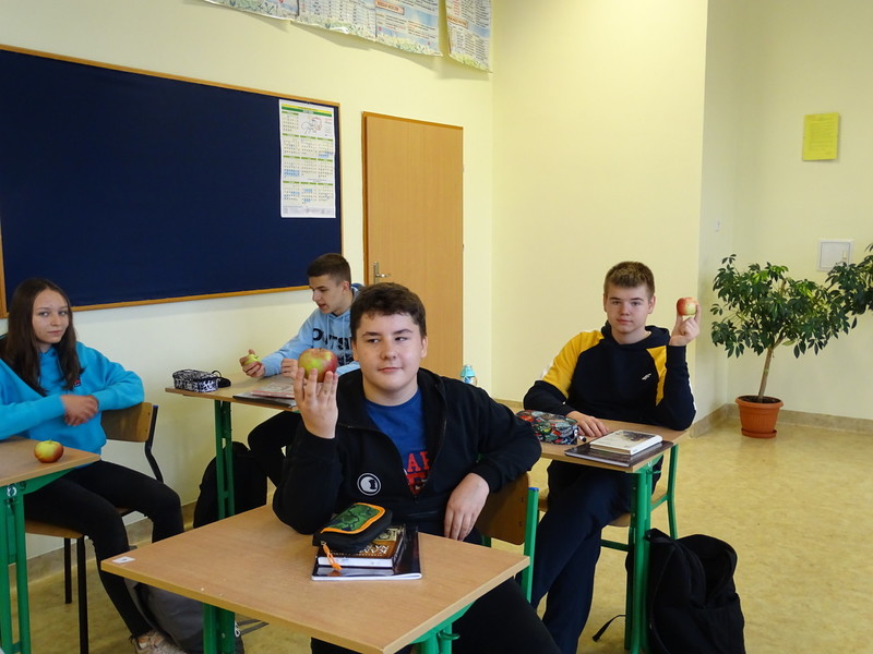 Zdjęcie