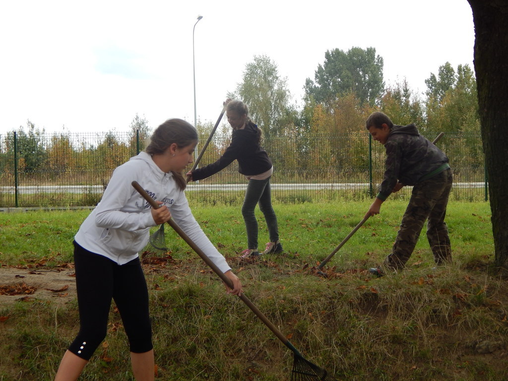 Tutaj powinien być opis