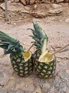 img20250406wa0002.jpg[small]