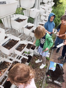 img20250526wa0024.jpg[small]