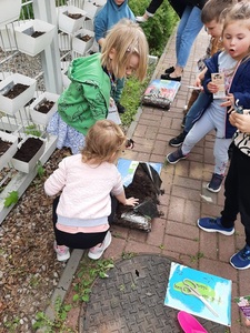 img20250526wa0025.jpg[small]