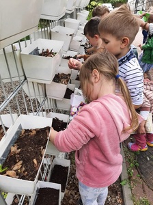 img20250526wa0057.jpg[small]