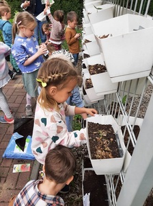 img20250526wa0060.jpg[small]