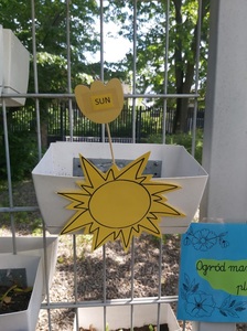 img20250526wa0112.jpg[small]