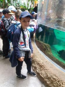 Wycieczka do ZOO i rejs statkiem po Odrze