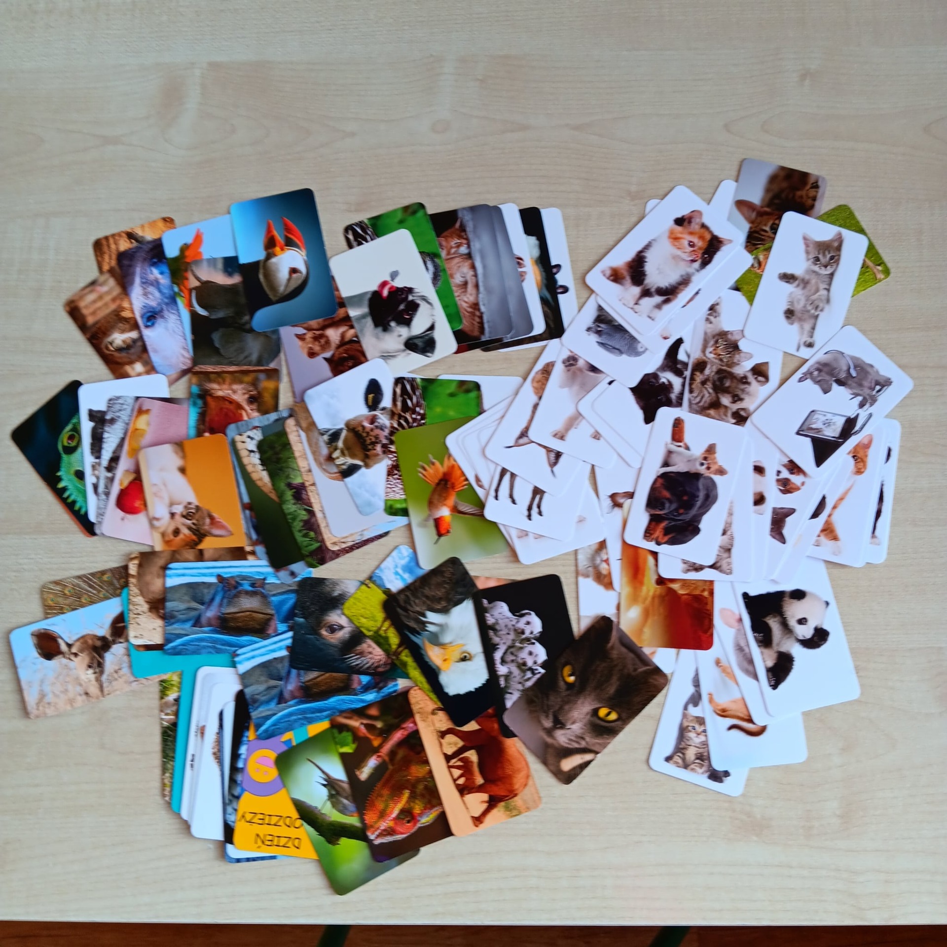 Tutaj powinien być opis