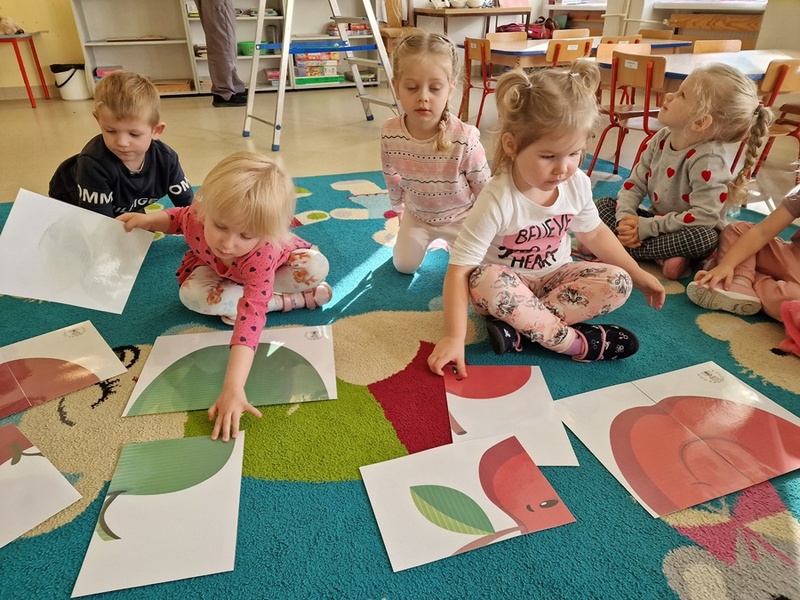 Zdjęcie