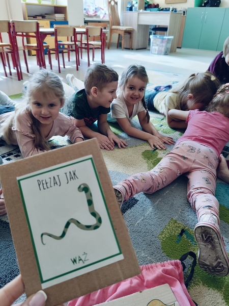 Zdjęcie