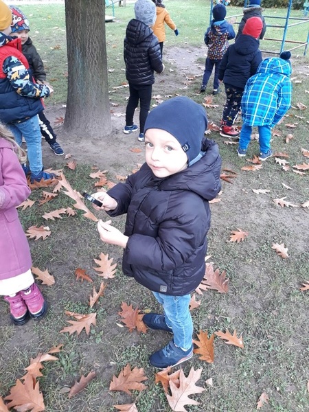 Zdjęcie