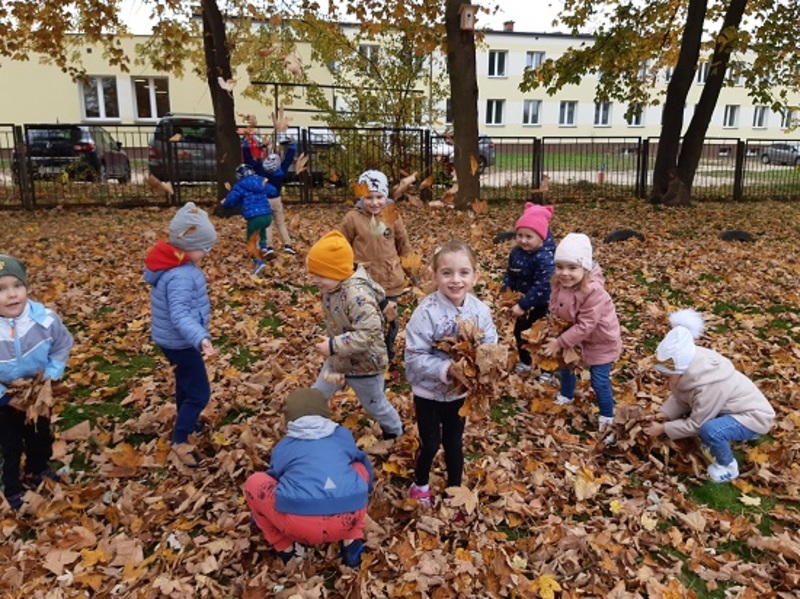Zdjęcie